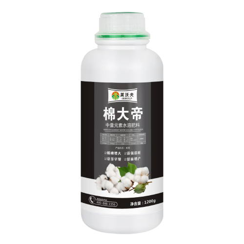 棉大帝